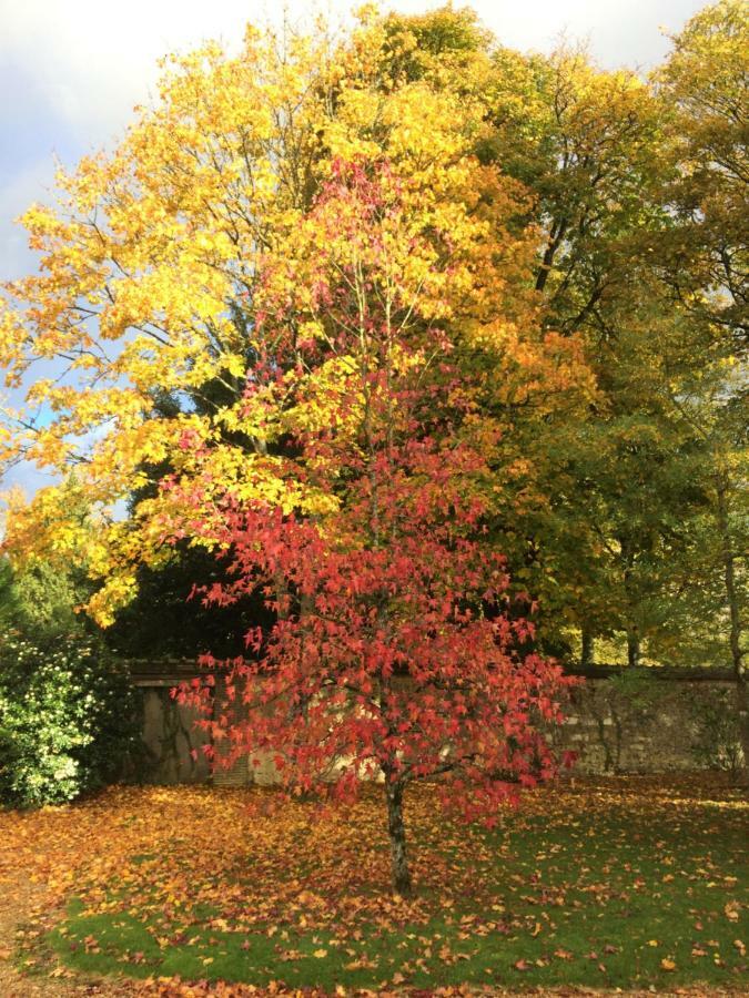 Les Couleurs Du Verger Beaumont-les-Autels Exteriér fotografie